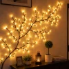 Willow Branch Warm White LED Lights